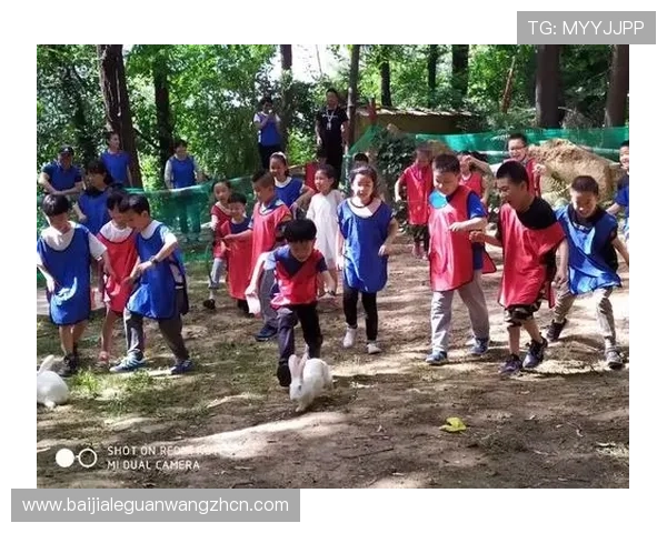 在博乐真人官网网站上参与各种真人游戏的技巧与策略分享指南