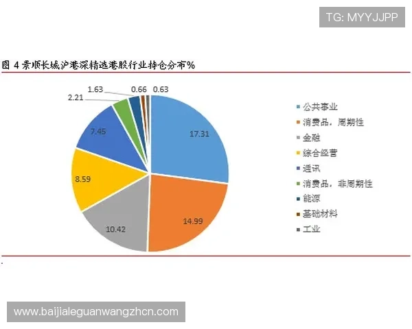 多宝视讯公司成立的地区背景，分析其发展历程与地域优势